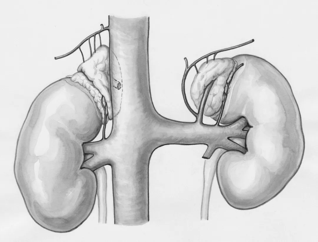 电子元器件与传感器选型要点：保障自动化设备稳定运行的实用指南